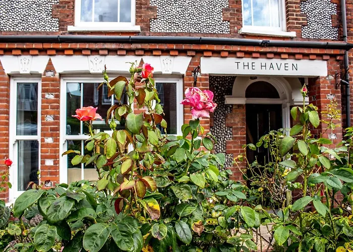 The Haven
